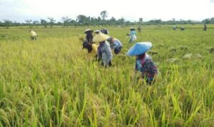 WhatsApp Image 2025-11-24 at 22.36.09