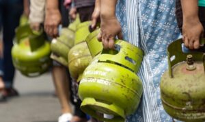 WhatsApp Image 2025-11-25 at 03.06.51